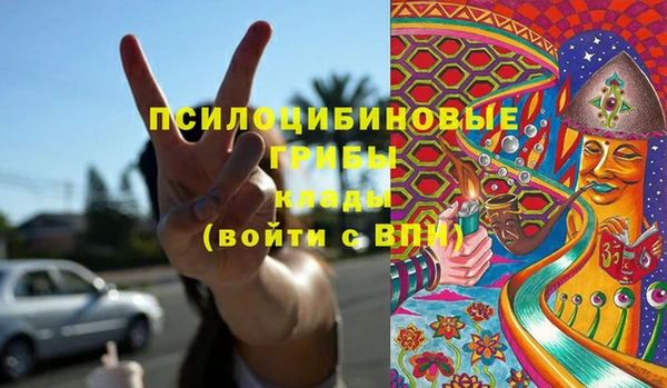 крисы Алексеевка