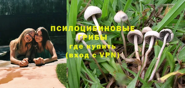 крисы Алексеевка